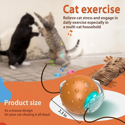 Oxawo Cat Toys Interactive Self Rolling Cat Balls with Mouse Tails Automatic Moving Fast on Carpet, Rechargeable & Motion Activated