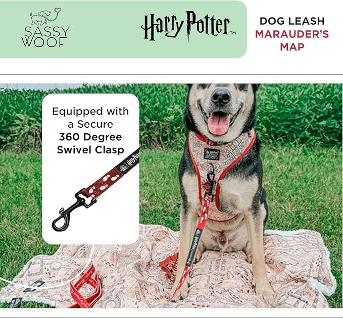 Sassy Woof Harry Potter™ Marauder's Map Dog Leash 60-Inch with Neoprene Padded Handle - Comfortable, Durable, and Stylish for Small to Large Dogs - Officially Licensed