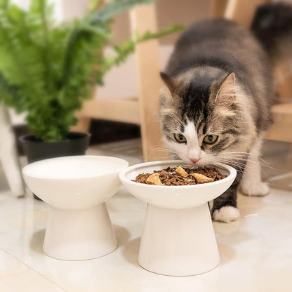 CEEFU 2 Elevated Ceramic Cat Bowls Extra Wide for Food & Water – Whisker Fatigue Shallow Food Dish, Lead & Cadmium-Free, Raised Height for Cats and Dogs, Two Different Depth Bowls, White