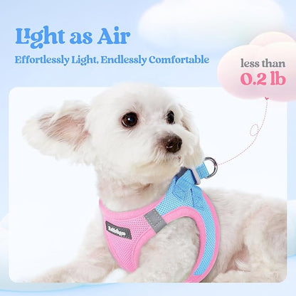 rabbitgoo Dog Harness Small Sized and Leash Set, Step in Soft Light Puppy Vest, Breathable Mesh Pet Harness, Reflective for Safe Easy Walking, Blue & Light Pink XS
