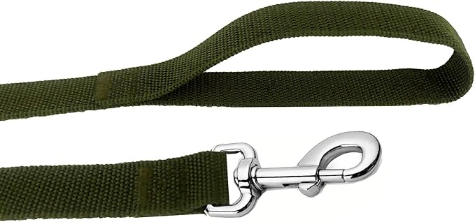 Strong Nylon Dog Leash, 4FT/ 5 FT/ 6FT Dog Leashes for Medium Large Dogs(5FT, Green)
