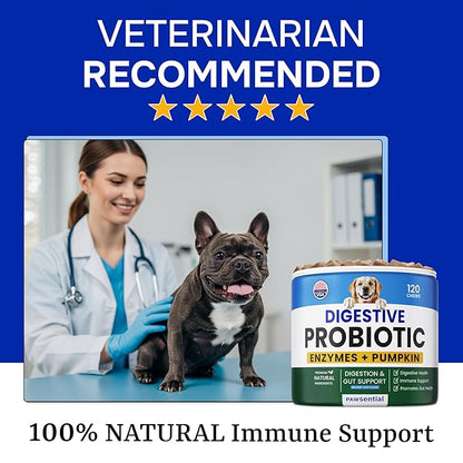 Advanced Probiotics for Dogs - 120 Billion CFUs - Digestive Health & Enzymes - Diarrhea, Gas, Upset Stomach Relief & Season Allergy - Prebiotics Fiber Supplement - Pet Probiotics for Dogs - 120 Chews