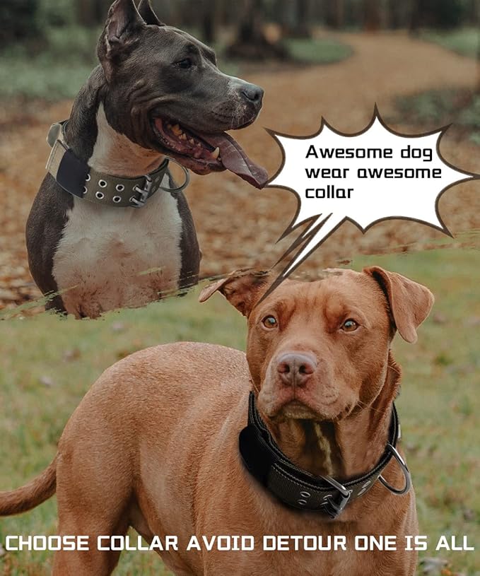 Large Dog Collar Heavy Duty- 2 inches Wide Tactical Dog Collar with Handle for Gaint Dogs, Extra Strong Nylon with Stainless Hardware, Military Green 19-23.5 in