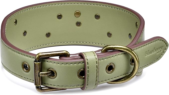 Blueberry Pet Premium Embossed Sage Green Glam Silver-Powered Freshness Microfiber Leather Dog Collar with Antique Brass Studs