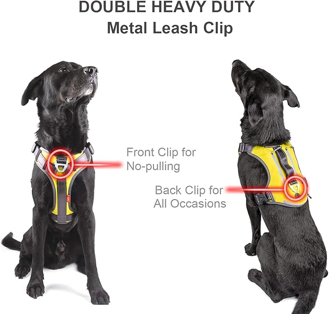 Fida Dog Harness, Multi-Functional No-Pull Pet Vest Harness with Saddle Bags Backpack, Front Leash Clip, Adjustable Soft Padded Reflective No-Choke Dog Vest Heavy Duty for X-Large Dog, XL,Black