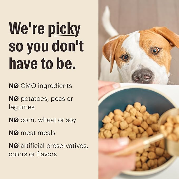 The Honest Kitchen Human Grade Whole Food Clusters Whole Grain Beef & Oat Dry Dog Food, 5 lb Bag