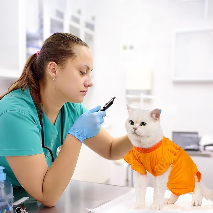 Avont Cat Recovery Suit - Post-Surgery Onesie for Cats, Alternative to Cone of Shame, Protective Spay Suit for Female Kitten, Ideal for Healing and Skin Conditions -Orange(S)