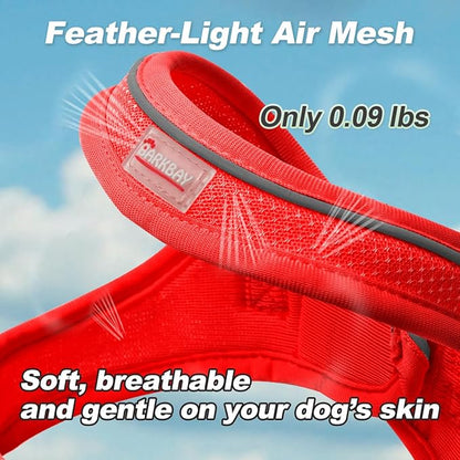 Dog Harness and Leash Set,Step in Small Sized Dog Harness,Soft Mesh,No-Chock,Reflective Adjustable,Secure with Hook & Loop Fastener,Puppy Vest for Small,Medium Dogs(Red,S)
