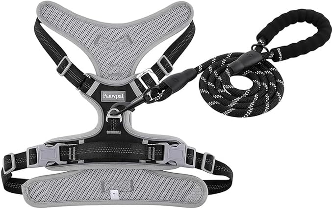 Paawpal Adjustable Dog Harness - No Pull, Reflective, Soft Padded for Small, Medium, Large Dogs - Includes Leash Black M