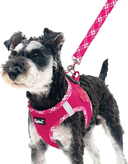 PUPTECK Dog Harness and Leash Set for Small Medium Dogs No Pull Step-in Soft Mesh Puppy Cat Vest Harnesses Reflective at Night, Fuchsia, L