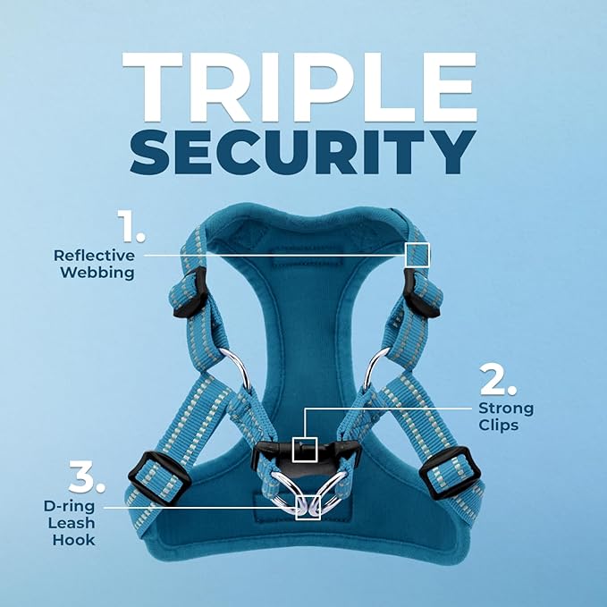 Best Pet Supplies Voyager Adjustable Step-in Flex Breathable Mesh Dog Harness for Small Medium Large Dogs (Turquoise), M