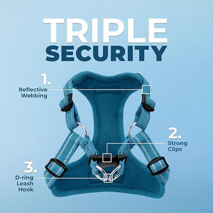 Best Pet Supplies Voyager Adjustable Step-in Flex Breathable Mesh Dog Harness for Small Medium Large Dogs (Turquoise), S