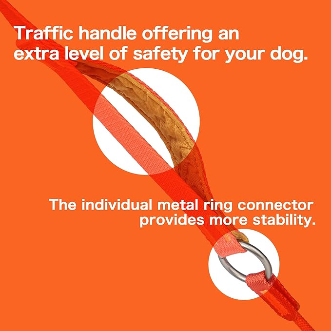 Howgo Dog Slip Lead Dog Leash, Training Lead, No-Pull Slip Leash and Collar, Heavy Duty & Durable Nylon, Padded Handle, for All Breeds (Black, 5FT)