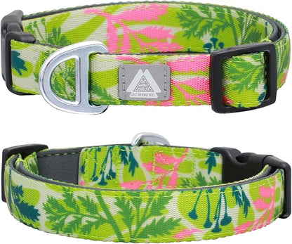 Dog Collar for Large Dogs with Reflective Logo and Soft Padded Neoprene,Summer Tropical Leaf Design,Adjustable,Lightweight & Durable, Neck Size 16’’-25’’ (Leaf, L)