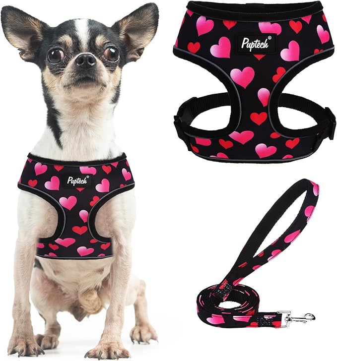 PUPTECK Soft Mesh Dog Harness and Leash Set Pet Puppy Cat Comfort Padded Vest No Pull Harnesses Valentine, Black&Pink, S