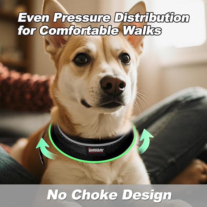 Dog Harness and Leash Set,Step in Small Sized Dog Harness,Soft Mesh,No-Chock,Reflective Adjustable,Secure with Hook & Loop Fastener,Puppy Vest for Small,Medium Dogs(Black,M)