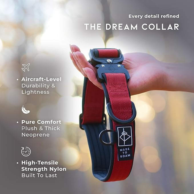 MADE TO ROAM Comfort Collar - Adjustable Nylon Dog Collar with Soft Comfortable Padding, Light Aviation Aluminum Metal Buckle for Small, Medium and Large Dogs (Arizona Heartbeat, Size 2)