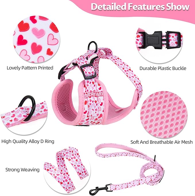Dog Harness and Leash Set, Adjustable Dog Harness, Dog Leash, No Pull No Choke Puppy Harnesses for Walking Training for Small, Medium Pet (Little Love, S(Chest 14-19.6", Neck 10.6-13"))