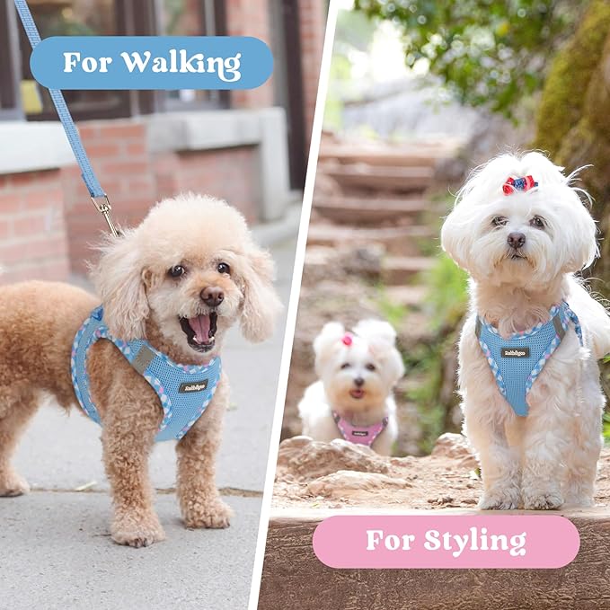 rabbitgoo Small Dog Harness, Step-in Soft Mesh Puppy Vest with Safety Buckle, Breathable Reflective Pet Harness for Small Sized Dogs, Blue & Plaid Trim M