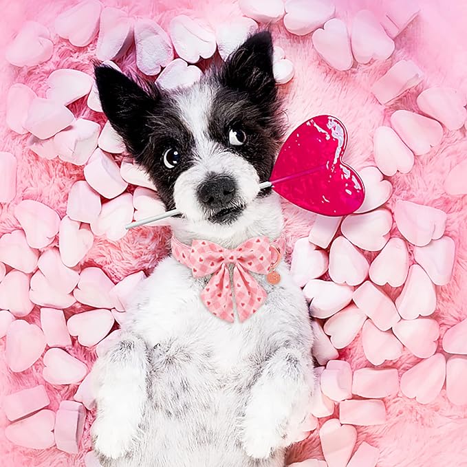 UP URARA PUP Valentine Dog Collar with Bow Tie, Medium Girl Dog, Cotton with Metal Buckle, Valentine's Day Gift, M, 13.5-22in, Pink Plaid