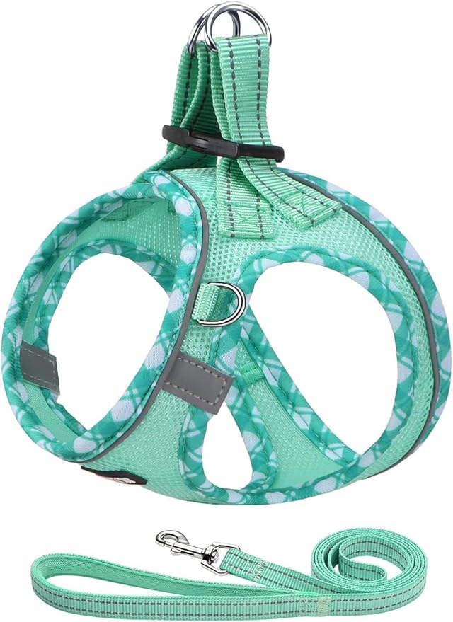 AMTOR Small Dog Harness with Leash Set, No Escape Easy Walk Puppy Harnesses for Training Walking, Step-in Reflective Soft Dogs Vest for XS S Medium Extra-Small Large Sized Dog (S,Light Green)