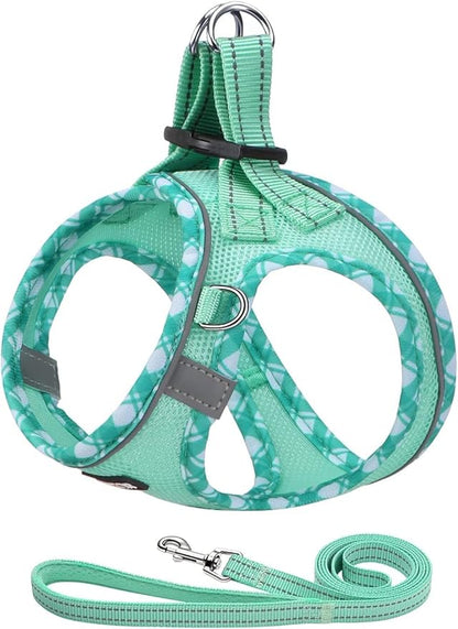 AMTOR Small Dog Harness with Leash Set, No Escape Easy Walk Puppy Harnesses for Training Walking, Step-in Reflective Soft Dogs Vest for XS S Medium Extra-Small Large Sized Dog (S,Light Green)