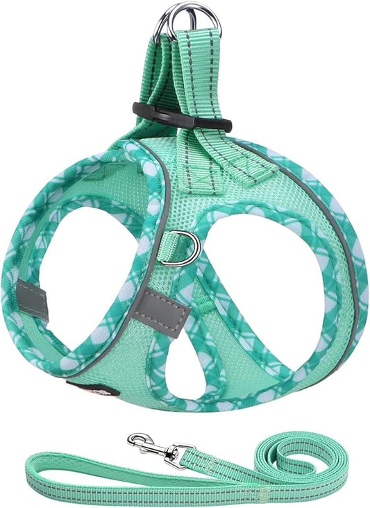 AMTOR Small Dog Harness with Leash Set, No Escape Easy Walk Puppy Harnesses for Training Walking, Step-in Reflective Soft Dogs Vest for XS S Medium Extra-Small Large Sized Dog (S,Light Green)