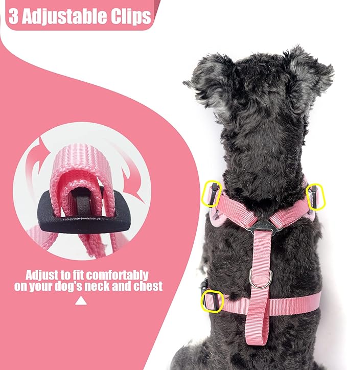 PUPTECK Small Dog Harness and Leash Set, No Pull Adjustable Puppy Cat Harness, Reflective Soft Mesh Pet Vest Small Sized, Pink Plaid, XS