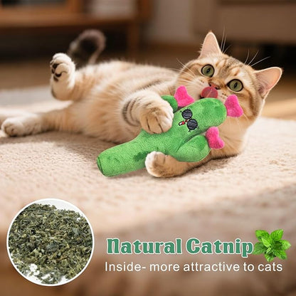 Otunrues Catnip Cat Toys Cactus Crinkly Sound 5 Pack Interactive Chew Kitten Cat Toys for Indoor Cats Exercise Cat nip Toy to Stimulate Play & Reduce Boredom