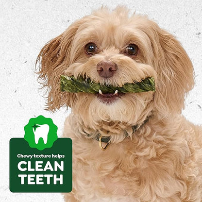 Greenies Occupy Twists Natural Dog Treats Regular Breed Size Chicken Flavor, 17.2 oz. Pack, 12 Count