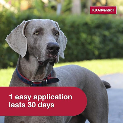 K9 Advantix II XL Dog Vet-Recommended Flea, Tick & Mosquito Treatment & Prevention | Dogs Over 55 lbs. | 1-Mo Supply (Pack of 3)
