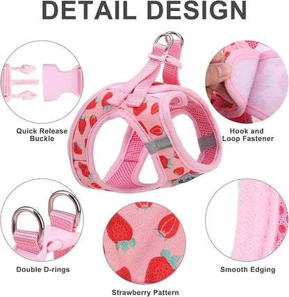 EXPAWLORER Small Dog Harness and Leash Set - Cute Puppy Harness Leash Dog Collar with AirTag Holder Silicone Case, Soft Padded Step in Pet Vest Reflective for Outdoor Walking, Strawberry XXS