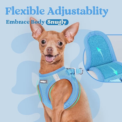 rabbitgoo Small Dog Harness, Step-in Soft Mesh Puppy Vest with Safety Buckle, Breathable Reflective Pet Harness for Small Sized Dogs, Blue S