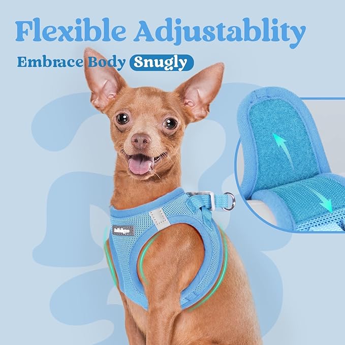 rabbitgoo Small Dog Harness, Step-in Soft Mesh Puppy Vest with Safety Buckle, Breathable Reflective Pet Harness for Small Medium Dogs, Blue XL