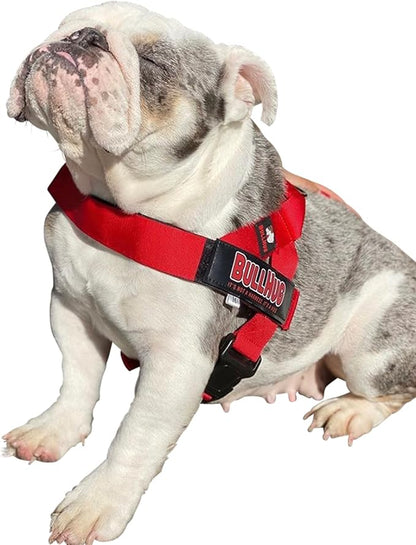 BULLHUG Adjustable Dog Harness– No Pull, No Choke – for English Bulldogs, French Bulldogs, Pugs & Broad-Chested Breeds – Easy, Safe Walks (Bright RED, Small)