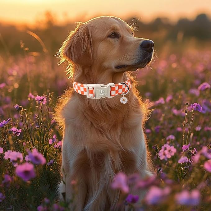 UP URARA PUP Gingham Fall Dog Collar – Adjustable Orange Picnic Checkered Dog Collar with Daisy Pendant, Classic Autumn Dogs Collars for Girl Boy Dogs