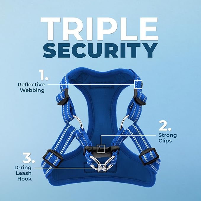 Best Pet Supplies Voyager Adjustable Step-in Flex Breathable Mesh Dog Harness for Small Medium Large Dogs Leash Set (Royal Blue), XL