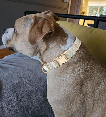 Soft Hemp Dog Collar and Leash Set Adjustable Woven Tweed Dog Collars with Metal Buckle and Lead for Small Medium Large Dogs,Grey