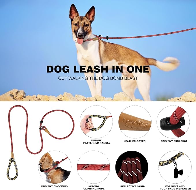 lynxking Slip Lead Dog Leash Reflective, Heavy Duty Comfortable Strong Rope for Large Medium Small Dogs No Pull Pet Training (Red, 2PCS Large 1/2in x 6ft)
