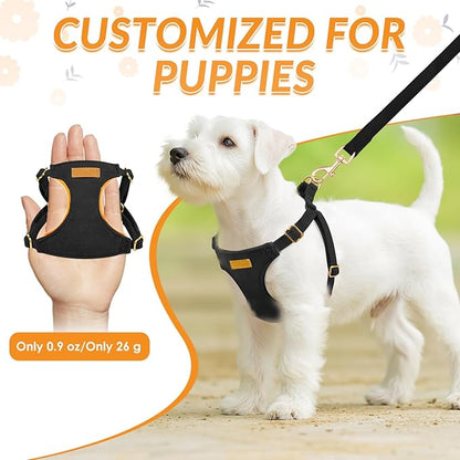 SlowTon Dog Harness Small Sized Dog - Soft XXS Dog Harness and Leash Set No Pull No Chock, Adjustable Lightweight Puppy Harness for XS Small Medium Dogs Cats (Solid Black, M)