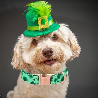 Lionheart Glory St. Patrick Dog Collar - Green Clover Collar for Large Dogs - Adjustable Heavy-Duty Spring Collar - Pet Gift