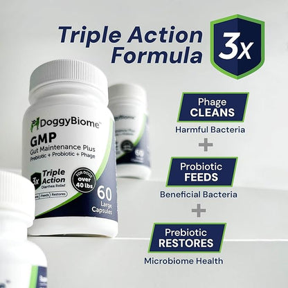 AnimalBiome Dog Probiotics - GMP Prebiotics and Probiotics - Reduce Diarrhea Flareups - for Dogs Under 20 lbs (60 Capsules) - DoggyBiome
