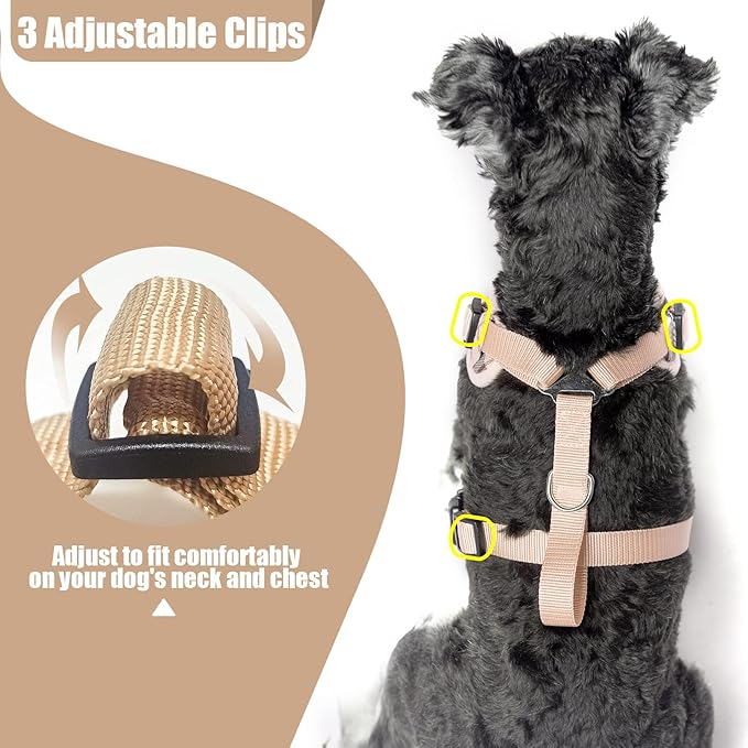 PUPTECK Small Dog Harness and Leash Set, No Pull Adjustable Puppy Cat Harness, Reflective Soft Mesh Pet Vest Small Sized, Beige Plaid, XS