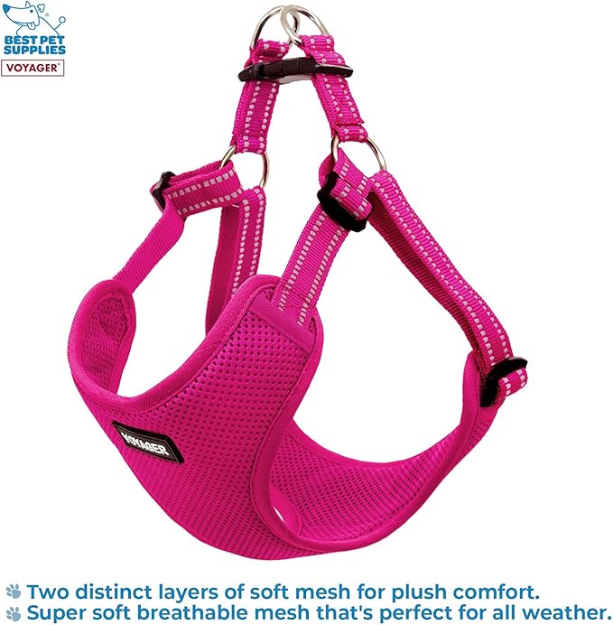 Best Pet Supplies Voyager Adjustable Step-in Flex Breathable Mesh Dog Harness for Small Medium Large Dogs (Fuchsia), L