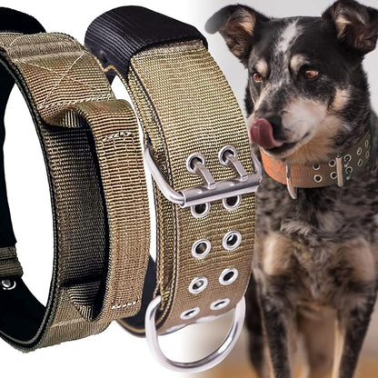 Large Dog Collar Heavy Duty - 2 inch Wide with Handle for Extra Large Breed Dogs, 1/3" Thick Nylon Chew Proof Tactical Collar, Good Choice for German Shepherd,Pitbull,Rottweiler 19-23.5 in