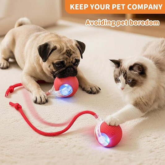 MAXTOOA Interactive Cat Toys for Indoor Cats Smart Automatic Ball Rolling for Bored Kitten Pet Upgraded Speedy Moving Chase Dogs Toy Red