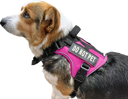 Tactical Dog Harness for Small and Medium Breeds, Air Dog Vest No Pull with Reflective Do Not Pet Patches, Breathable Dog Molle Vests for Training Walking Hunting Pink