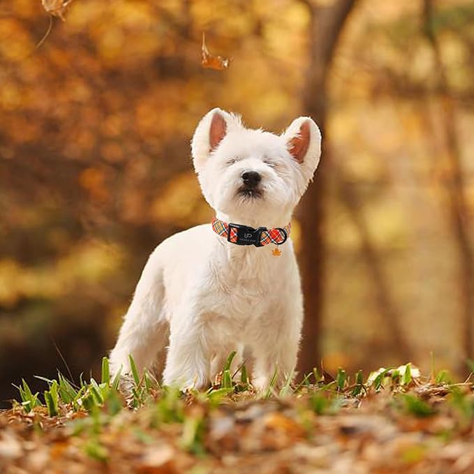 Autumn Plaid Dog Collar – Adjustable Orange Tartan Dog Collar with Fall Leaf Charm, Cozy Fall Vibes Orange Yellow Grid Puppy Collars for Small/Medium/Large Dogs