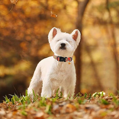 Autumn Plaid Dog Collar – Adjustable Orange Tartan Dog Collar with Fall Leaf Charm, Cozy Fall Vibes Orange Yellow Grid Puppy Collars for Small/Medium/Large Dogs