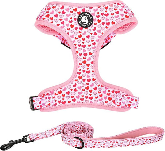 Dog Harness and Leash Set, Adjustable Dog Harness, Dog Leash, No Pull No Choke Puppy Harnesses for Walking Training for Small, Medium Pet (Little Love, L(Chest 19.6-28", Neck 15.7-21.1"))